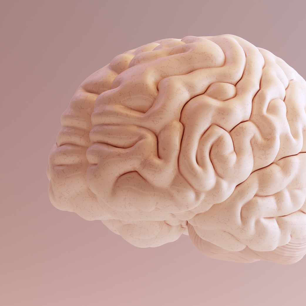 COMMUNIQUE -FORUM DES SCIENCES COGNITIVES 2020