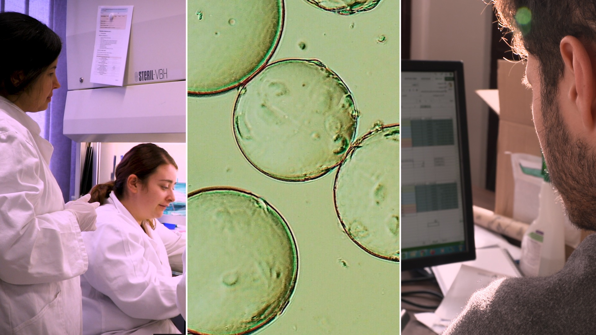 EVerZom, les biothérapies de demain