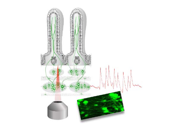 SPPIN’s seminar spring-summer 2024